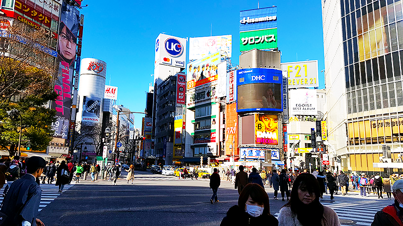 Shibuya Crossing - Tokyo on a budget