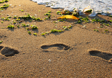 Travel with Mia - Family Fun in Monterey - Sandy Toes