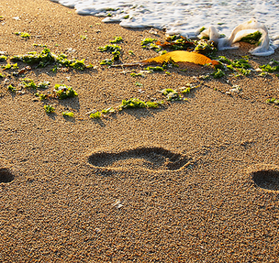 Travel with Mia - Family Fun in Monterey - Sandy Toes