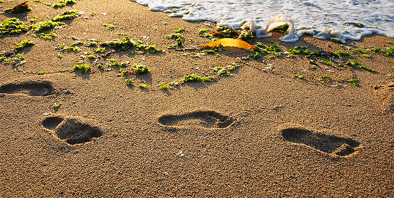 Travel with Mia - Family Fun in Monterey - Sandy Toes